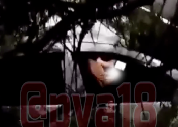 На Кубани женское общежитие переполошил водитель-онанист