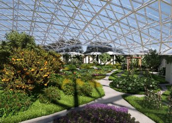 В 2022 году Сочи инвестировали более 20 миллиардов рублей