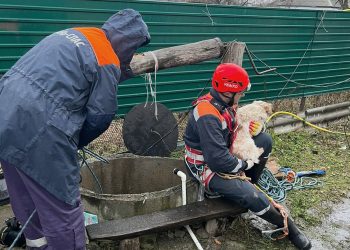 На Кубани собаку вытащили из девятиметрового колодца