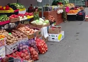 На Кубани продают картофель, опрысканный собачьей мочой