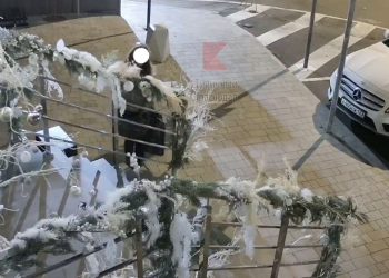 В Краснодаре девушка украла новогодний декор с поручней стоматологии и прославилась