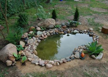 В Краснодаре по факту создания искусственного водоема возбудили уголовное дело