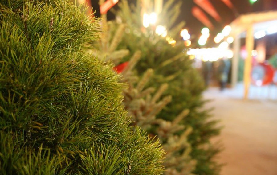 На Кубани откроют более 30 новогодних ярмарок