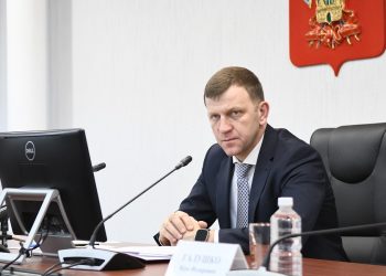 Наумов поручил проверить организацию концертов «Инстасамки»