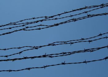 Жителю Кубани дали пожизненное за убийство женщины и 13-летней девочки