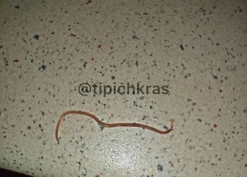 Жительница Краснодара обнаружила червяка в рыбном фарше