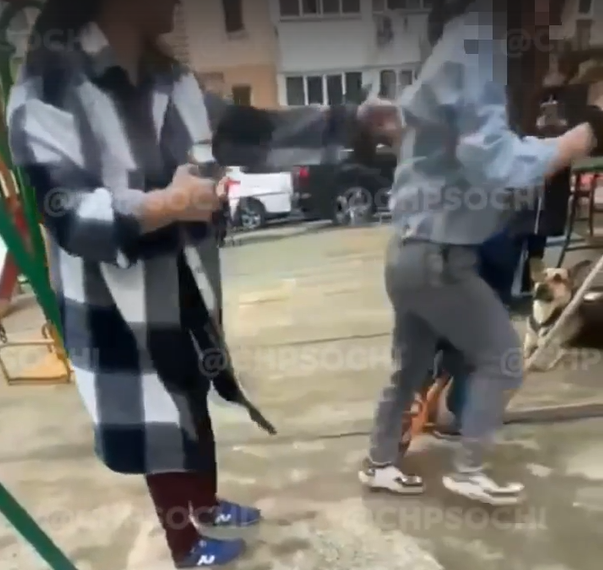 В Сочи женщина напала на девочку-подростка из-за собаки на детской площадке