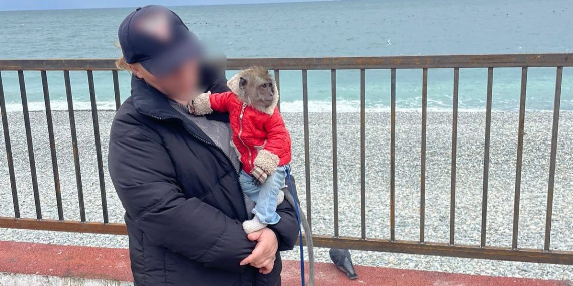 В Сириусе наказали девушку, которая предлагала фото с обезьяной
