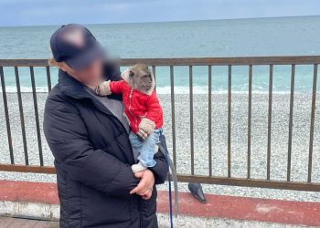 В Сириусе наказали девушку, которая предлагала фото с обезьяной