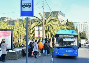 На маршруты в Сочи вышли 26 новых автобусов