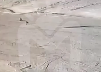 На Эльбрусе гибель 43-летнего лыжника при необычных обстоятельствах попала на видео