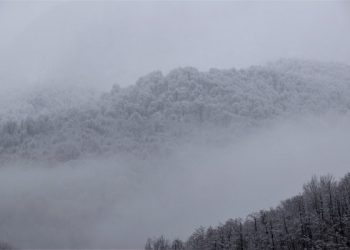 В Сочи ожидается сильное налипание снега