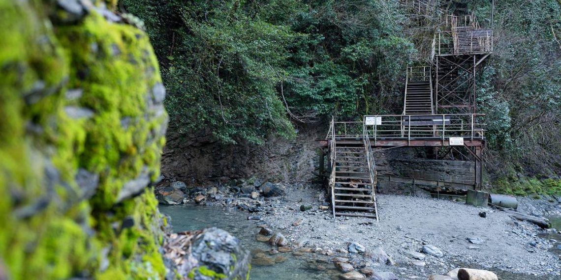В Сочинском нацпарке благоустроят экотропу Ажек