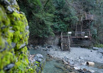 В Сочинском нацпарке благоустроят экотропу Ажек