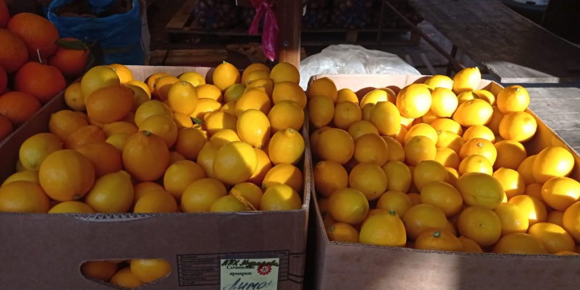 Сочинцы не спешат выходить на работу после новогодних каникул