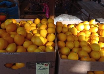 Сочинцы не спешат выходить на работу после новогодних каникул