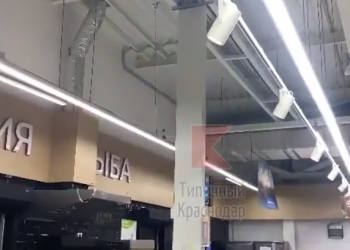 В одном из краснодарских гипермаркетов обнаружили маленький зоопарк