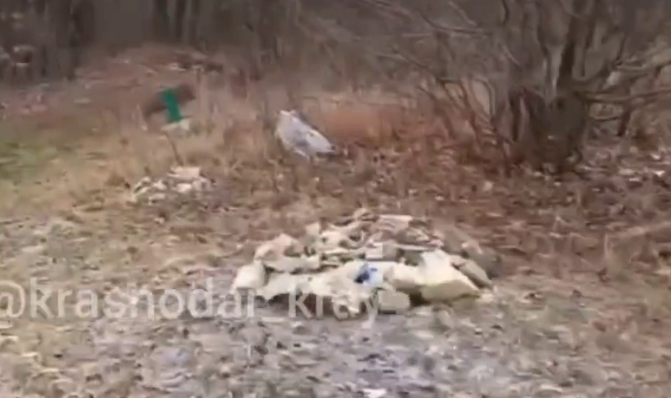 На Кубани на кладбище домашних животных происходит что-то необычное