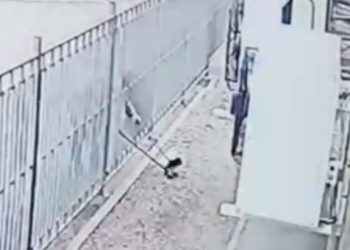 Стало известно, почему Краснодар такой грязный