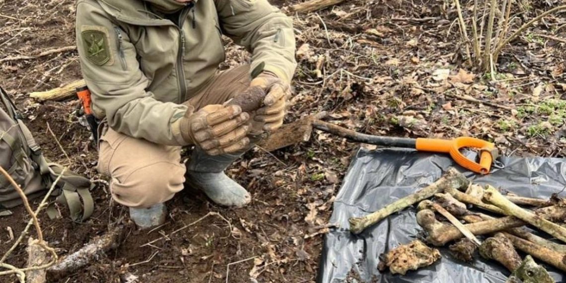 На Кубани в лесу нашли череп и человеческие кости