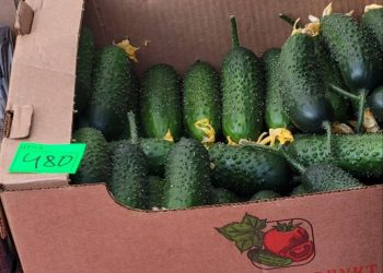 «Краснодарский край, а цены, как в Якутии»: стала известна стоимость продуктов на ярмарках выходного дня