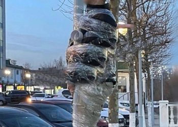 На Кубани парень с половым органом на спине рассказал, почему его привязали к столбу скотчем