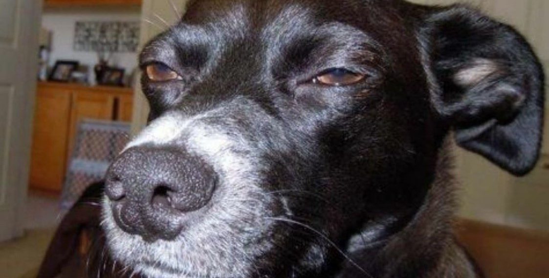 В Краснодаре с магазинных полок пропала куриная печень