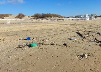 Тонны пластика выбросило на кубанский пляж