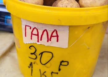 Краснодарцев удивили цены на ярмарках выходного дня