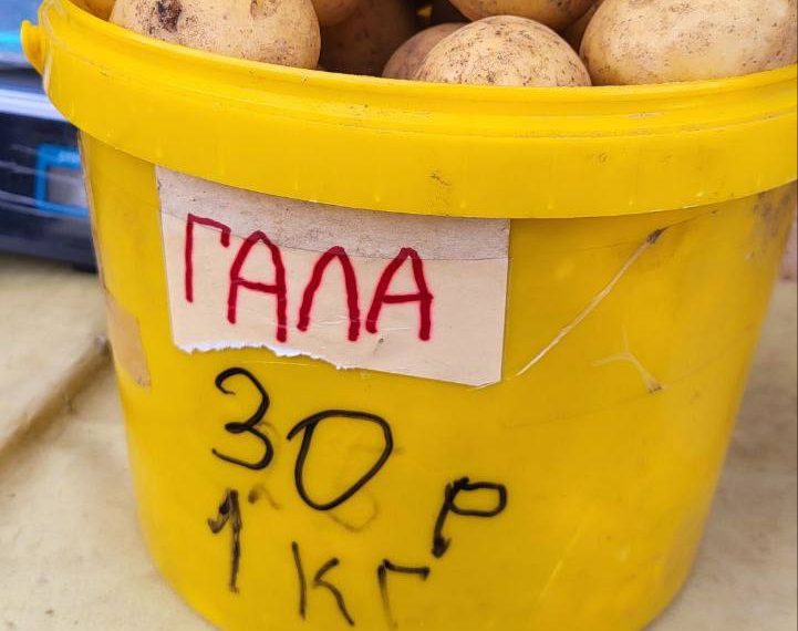 Краснодарцев удивили цены на ярмарках выходного дня