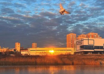 В Сочи температура воздуха в среду прогреется до +15 градусов