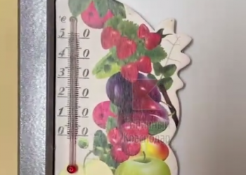 В начальной школе Краснодара зафиксировали температуру +10 градусов