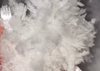 Необычный снег сняли на видео в сочинской Красной Поляне