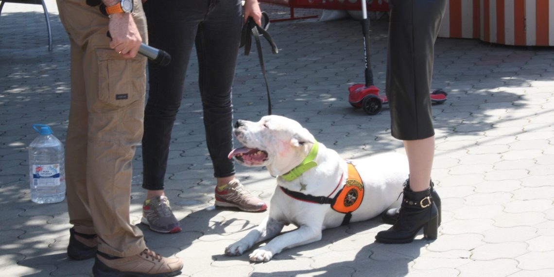 В Сочи более двух недель назад пропала молодая женщина