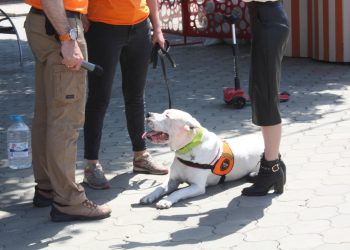 В Сочи более двух недель назад пропала молодая женщина