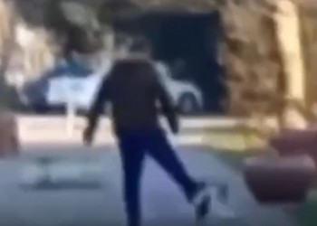 В Сочи мужчина жестоко избил собаку во время прогулки