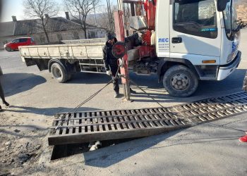 В Новороссийске спасли собаку, заточенную в ливневке