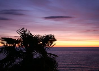 В Сочи отдыхают более 75 тысяч человек