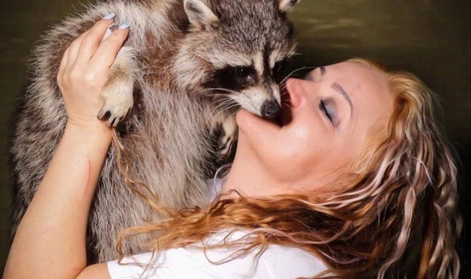 В Адыгее Мать енотов стала жертвой собственной доброты