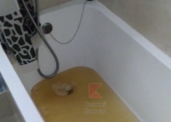 В Краснодаре жители элитного ЖК жалуются на ржавую воду