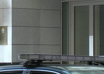 Бастрыкин поручил завести дело по факту нападения собак на ребенка в Краснодаре