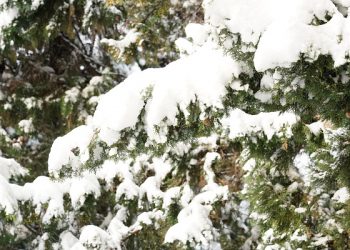 В Сочи ожидается снег и ветер до 20 м/с