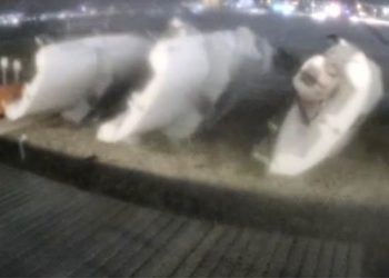 В Геленджике ветер опрокинул шесть яхт