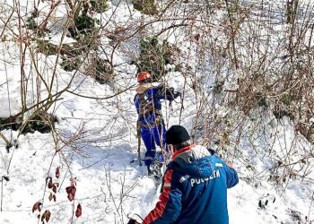 Специалисты «Россети Кубань» восстановили основные схемы электроснабжения Сочи и Туапсинского района