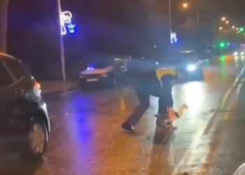 В Абхазии наглую утку задержали при пересечении двойной сплошной