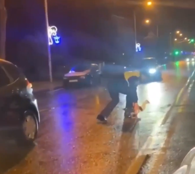 В Абхазии наглую утку задержали при пересечении двойной сплошной