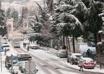 Температура воздуха в Краснодаре сравнялась с Архангельском: синоптик Шувалов заявил о новой волне похолодания на Кубани