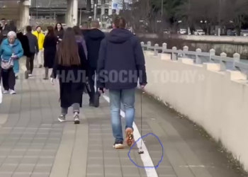 Появилось видео, как в Сочи парень без стеснения прилюдно выгуливал свой банан на поводке