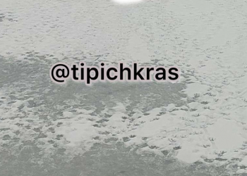 На Кубани двое мужчин палками забили нутрий — любимцев местных жителей