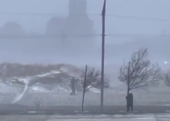 Отважный парень в Новороссийске 7 февраля пытался оседлать норд-ост